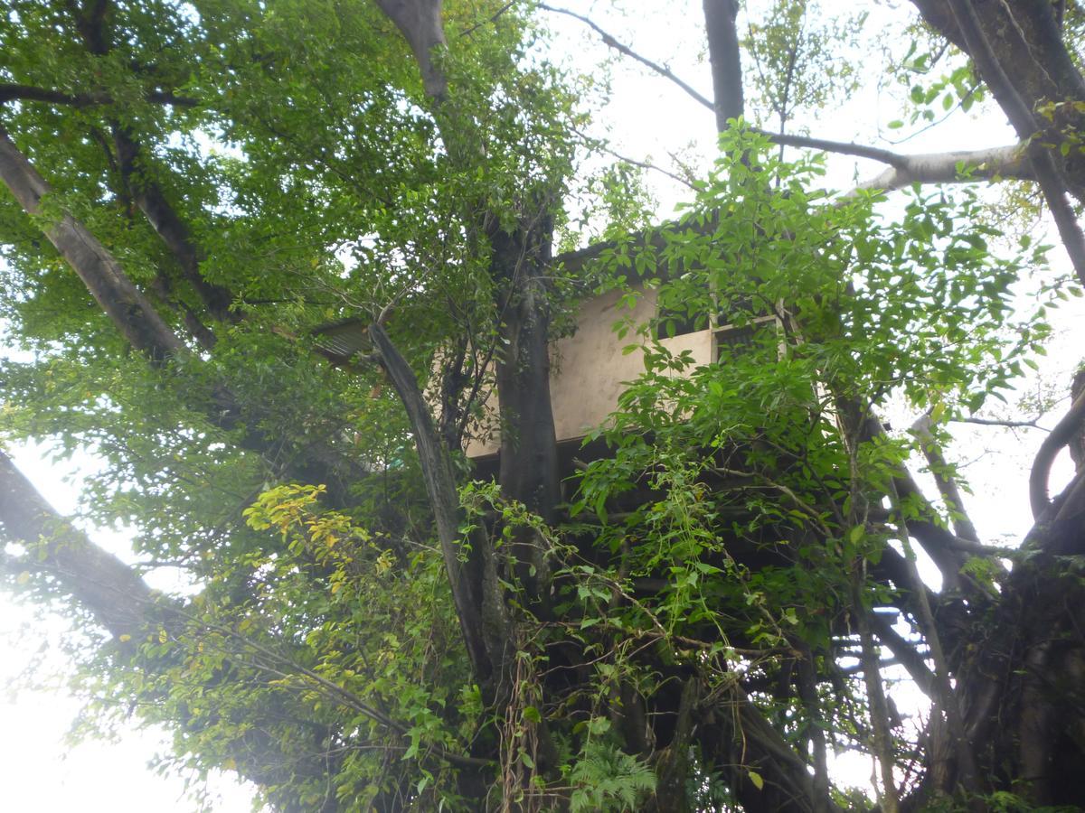 Castle Tree House And Bungalow White Sands Kültér fotó