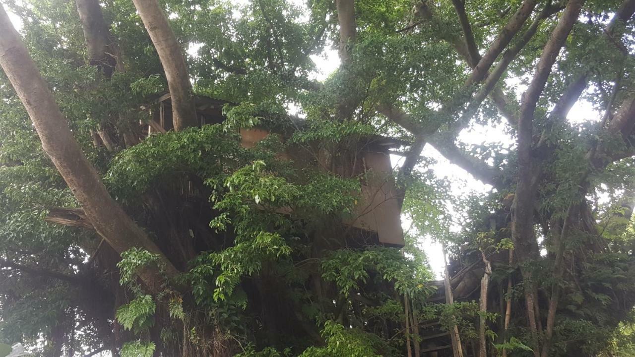 Castle Tree House And Bungalow White Sands Kültér fotó